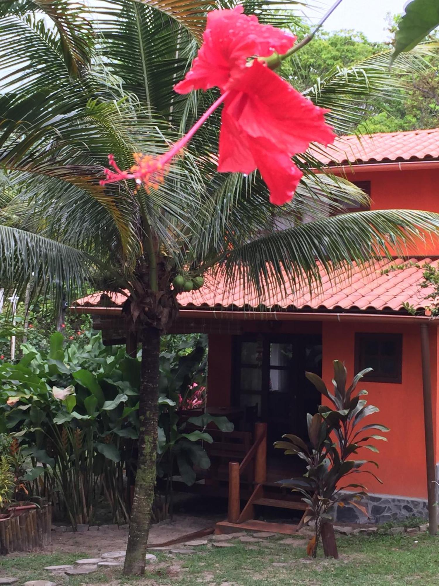Vila Sofia Chales Morro de São Paulo Habitación foto